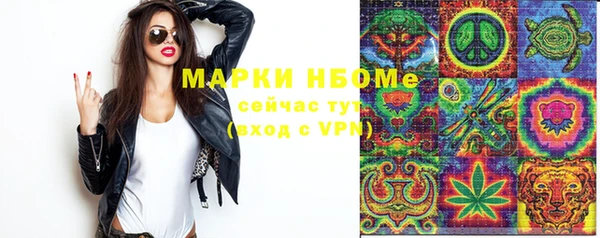 стаф Абинск