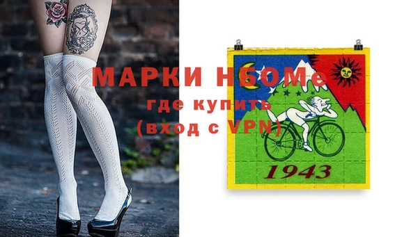 СК Алексин