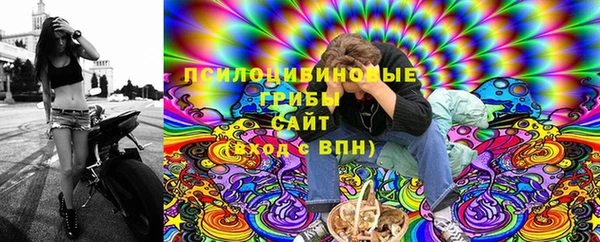 СК Алексин