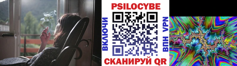 как найти наркотики  Шахты  Галлюциногенные грибы Cubensis 