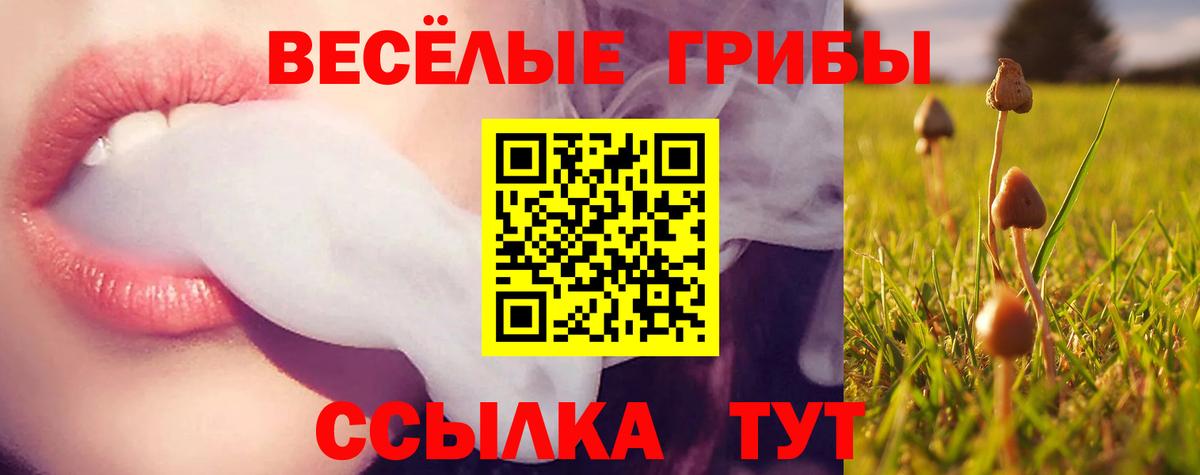 Псилоцибиновые грибы Cubensis Шахты